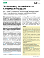 2015Trendsingenetics